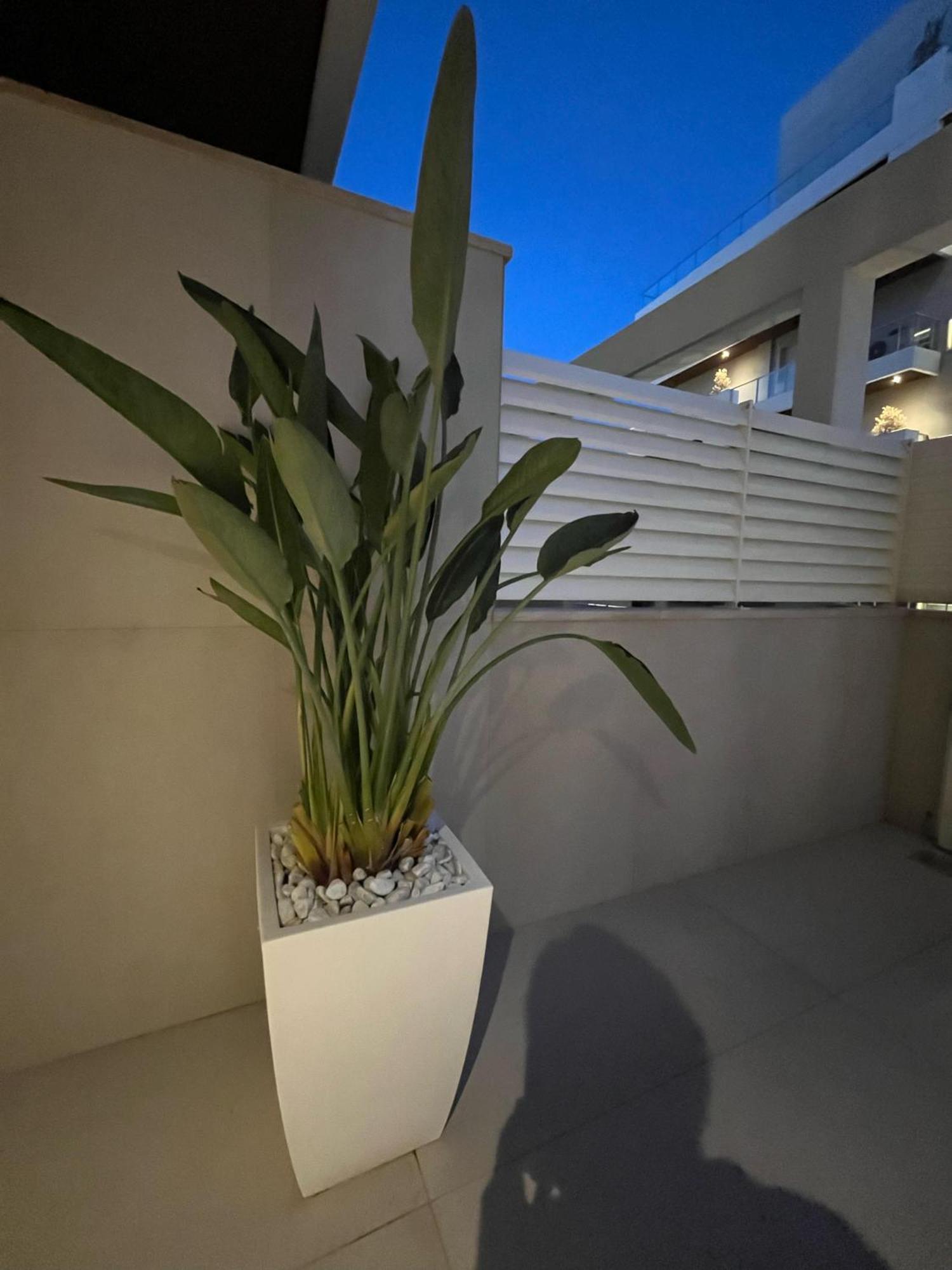 Seacity Vibes Apartments โมโนโปลี ภายนอก รูปภาพ